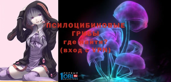 МДПВ Вязьма